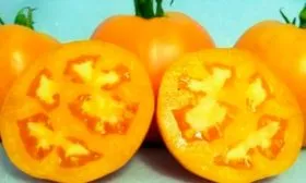 Назначение и применение