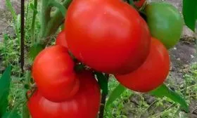 Характеристики