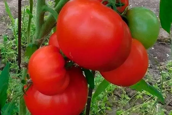 Характеристики