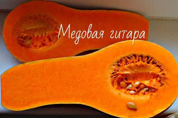 Созревание и плодоношение, продуктивность