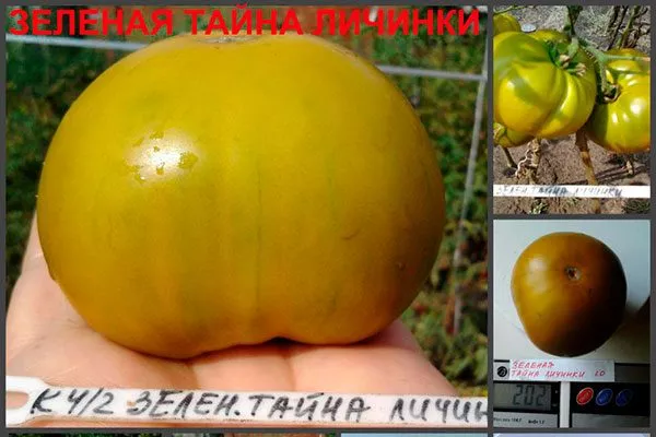 Описание плодов2