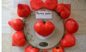 Плюсы и минусы