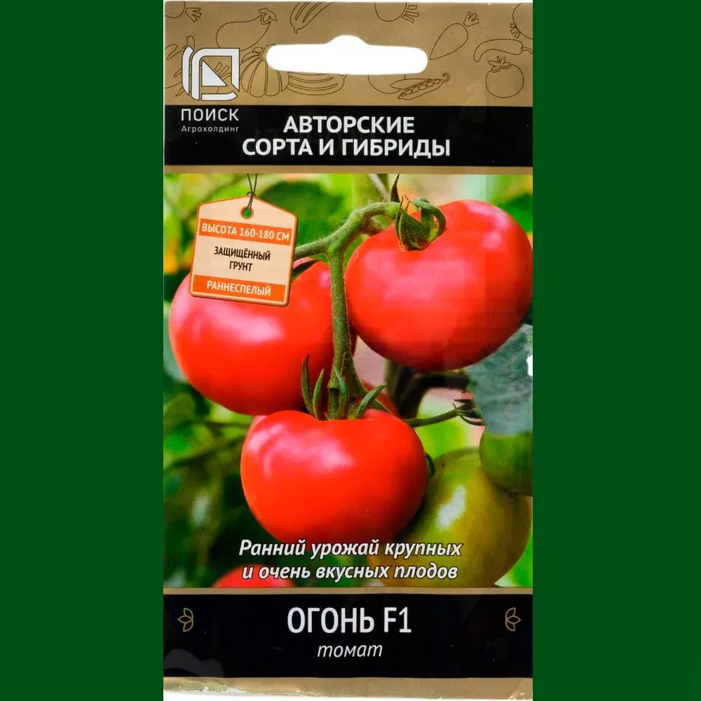 Описание кустов и плодов