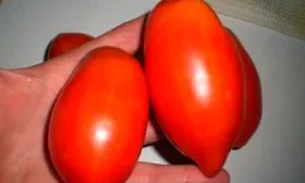 Характеристики