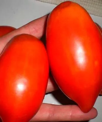 Характеристики