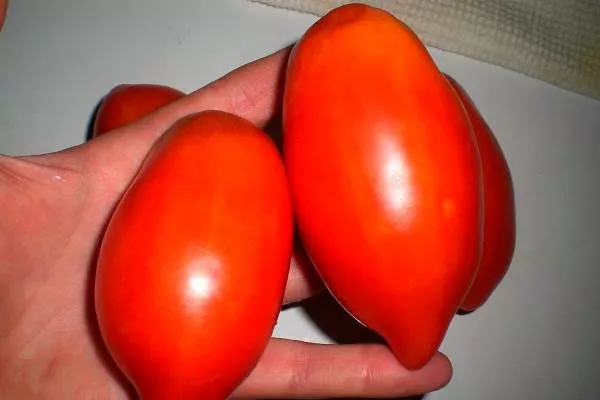 Характеристики