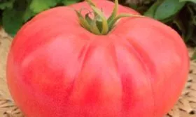 Сбор и хранение урожая