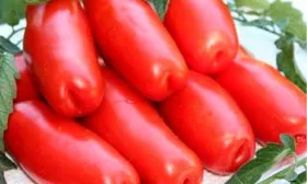 Описание плодов