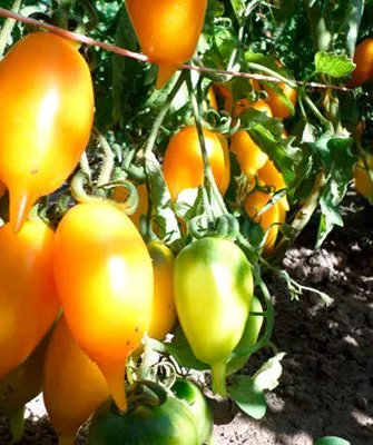 Характеристики