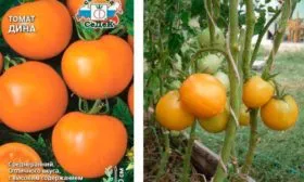 Период созревания, урожайность