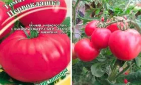 История создания и регионы выращивания