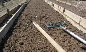 подготовка почвы под томаты