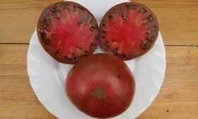 томат Шоколадный