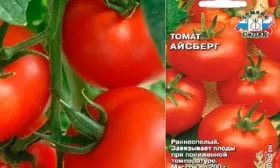 Описание сорта Айсберг