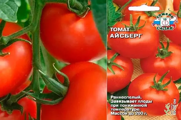 Описание сорта Айсберг