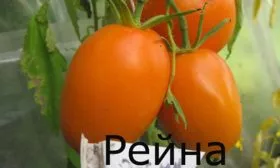 Основные характеристики