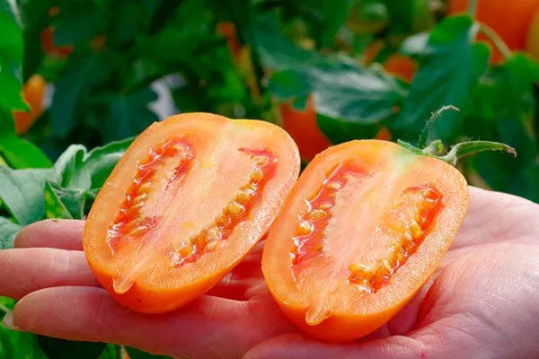 Вкус плодов и их назначение