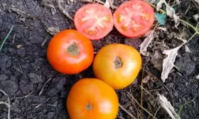 Основные характеристики2