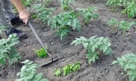 уход за почвой