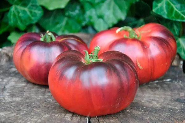 Описание куста и плодов