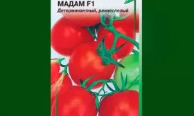 Описание куста и плодов