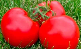 Происхождение и регионы для выращивания