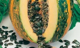 Характеристики