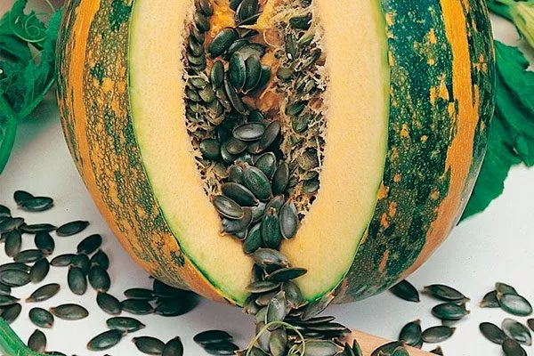 Характеристики