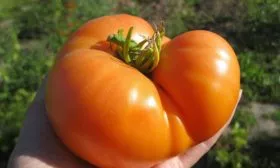 Основные характеристики