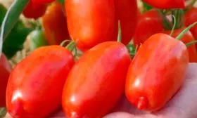 Урожайность