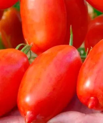 Урожайность