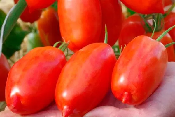 Урожайность