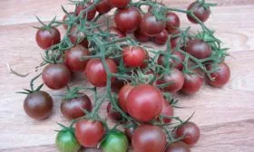 Вкус и назначение плодов