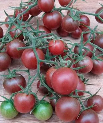 Вкус и назначение плодов