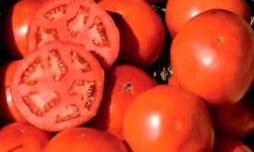 Вкус и назначение плодов