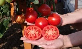 Описание и характеристики2