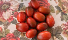 Срок созревания, продуктивность