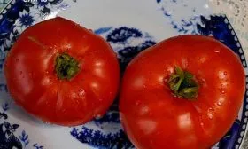 Характеристики томата Эля