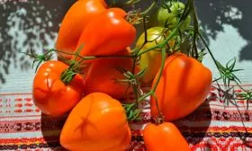 Основные характеристики