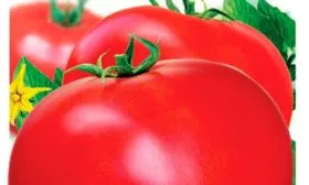 Характеристики