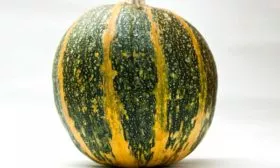 Кто и когда вывел сорт