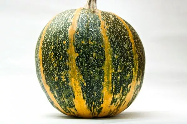 Кто и когда вывел сорт