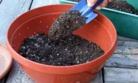 почва и ёмкость для томатов