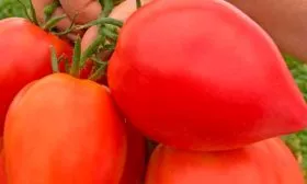 Характеристики