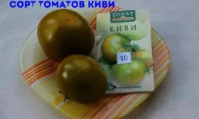 Происхождение сорта, описание куста и плодов