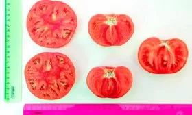 Характеристики