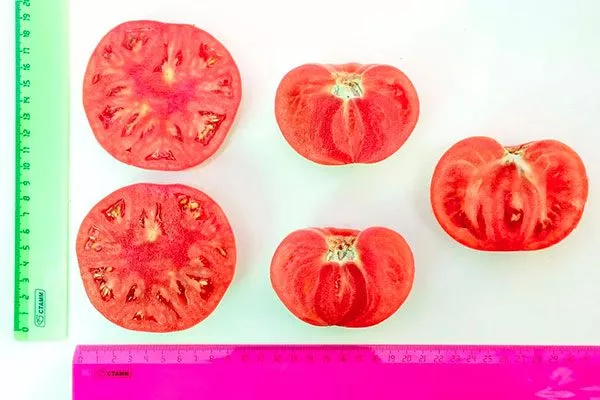 Характеристики