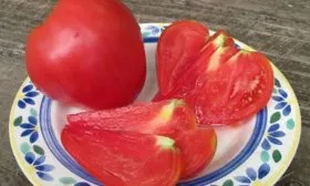 Вкус и назначение плодов