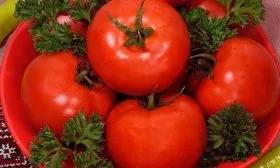 Уборка и хранение урожая