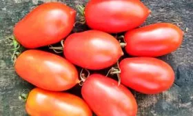 Область применения